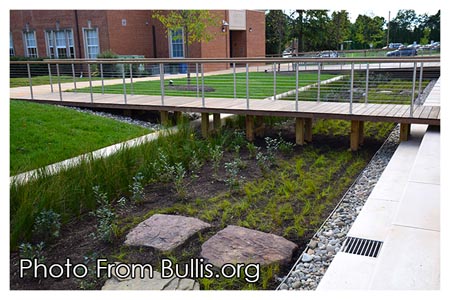 The Bullis School Bioretention-Pond-web
